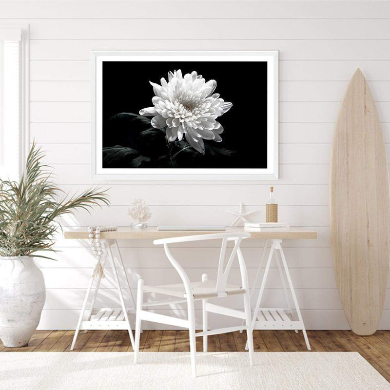 Chysanthemum Flower-The Paper Tree-black,black & white,black and white,chrysanthemum,floral,flower,landscape,monochrome,petals,premium art print,wall art,Wall_Art,Wall_Art_Prints,white,white flower