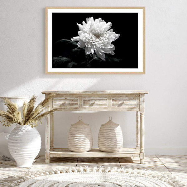 Chysanthemum Flower-The Paper Tree-black,black & white,black and white,chrysanthemum,floral,flower,landscape,monochrome,petals,premium art print,wall art,Wall_Art,Wall_Art_Prints,white,white flower