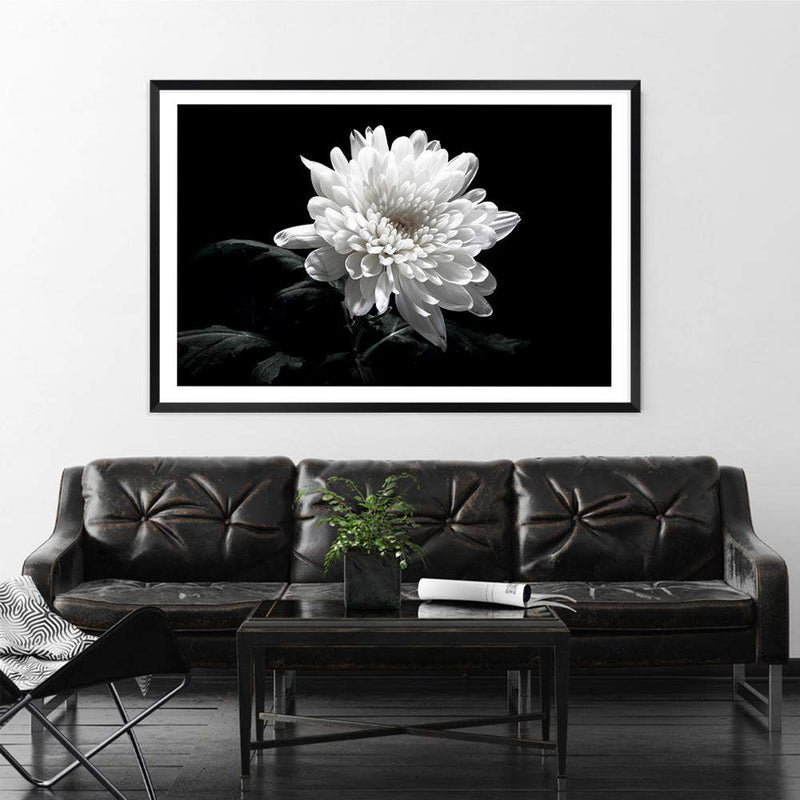 Chysanthemum Flower-The Paper Tree-black,black & white,black and white,chrysanthemum,floral,flower,landscape,monochrome,petals,premium art print,wall art,Wall_Art,Wall_Art_Prints,white,white flower