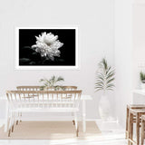 Chysanthemum Flower-The Paper Tree-black,black & white,black and white,chrysanthemum,floral,flower,landscape,monochrome,petals,premium art print,wall art,Wall_Art,Wall_Art_Prints,white,white flower