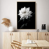 Chysanthemum Flower II-The Paper Tree-black,black & white,black and white,chrysanthemum,floral,flower,monochrome,petals,portrait,premium art print,wall art,Wall_Art,Wall_Art_Prints,white,white flower