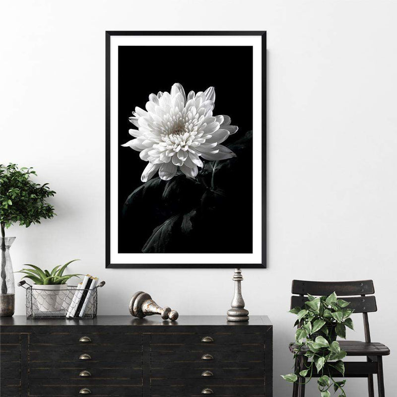 Chysanthemum Flower II-The Paper Tree-black,black & white,black and white,chrysanthemum,floral,flower,monochrome,petals,portrait,premium art print,wall art,Wall_Art,Wall_Art_Prints,white,white flower