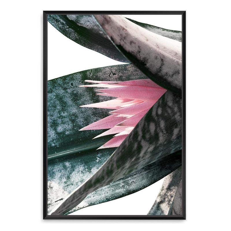 Pink Bromeliad III-The Paper Tree-botanical,bromeliad,bromeliad flower,floral,flower,green,pink,pink bormeliad,plant,portrait,premium art print,succulent,wall art,Wall_Art,Wall_Art_Prints