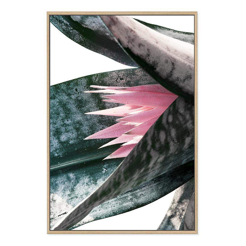 Pink Bromeliad III-The Paper Tree-botanical,bromeliad,bromeliad flower,floral,flower,green,pink,pink bormeliad,plant,portrait,premium art print,succulent,wall art,Wall_Art,Wall_Art_Prints