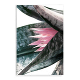 Pink Bromeliad III-The Paper Tree-botanical,bromeliad,bromeliad flower,floral,flower,green,pink,pink bormeliad,plant,portrait,premium art print,succulent,wall art,Wall_Art,Wall_Art_Prints