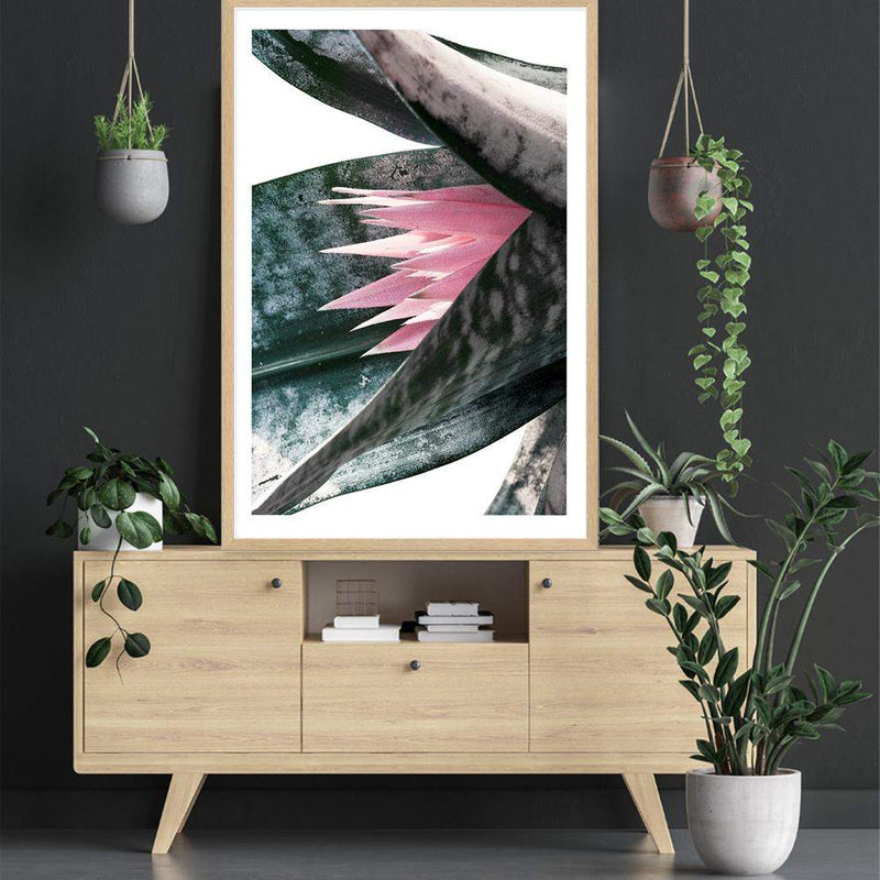 Pink Bromeliad III-The Paper Tree-botanical,bromeliad,bromeliad flower,floral,flower,green,pink,pink bormeliad,plant,portrait,premium art print,succulent,wall art,Wall_Art,Wall_Art_Prints