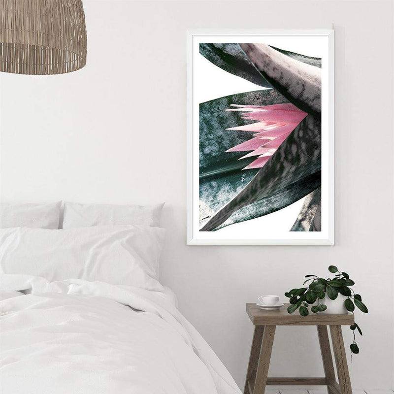 Pink Bromeliad III-The Paper Tree-botanical,bromeliad,bromeliad flower,floral,flower,green,pink,pink bormeliad,plant,portrait,premium art print,succulent,wall art,Wall_Art,Wall_Art_Prints