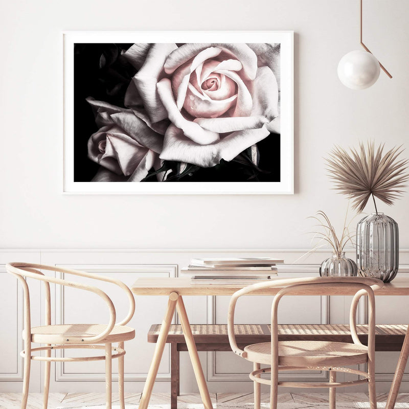 Pastel Pink Rose-The Paper Tree-black,floral,flower,landscape,pastel,pastel pink,petals,pink,pink flower,pink rose,premium art print,rose,roses,wall art,Wall_Art,Wall_Art_Prints