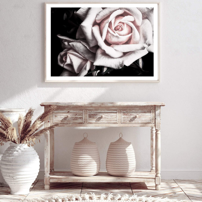 Pastel Pink Rose-The Paper Tree-black,floral,flower,landscape,pastel,pastel pink,petals,pink,pink flower,pink rose,premium art print,rose,roses,wall art,Wall_Art,Wall_Art_Prints