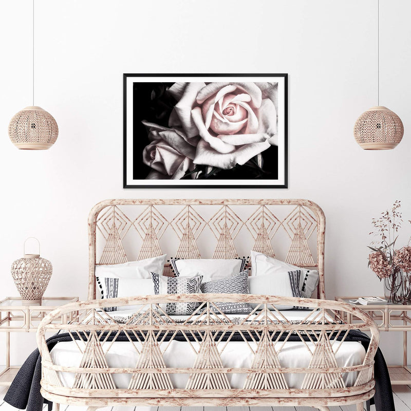 Pastel Pink Rose-The Paper Tree-black,floral,flower,landscape,pastel,pastel pink,petals,pink,pink flower,pink rose,premium art print,rose,roses,wall art,Wall_Art,Wall_Art_Prints