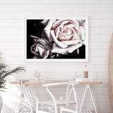 Pastel Pink Rose-The Paper Tree-black,floral,flower,landscape,pastel,pastel pink,petals,pink,pink flower,pink rose,premium art print,rose,roses,wall art,Wall_Art,Wall_Art_Prints