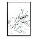 Eucalyptus Gum Leaves-The Paper Tree-australia,australian,australian native,australiana,botanical,eucalyptus,eucalyptus leaves,green,gum,gum leaf,gum leaves,hamptons,leaf,leaves,muted tone,portrait,premium art print,wall art,Wall_Art,Wall_Art_Prints