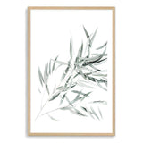 Eucalyptus Gum Leaves-The Paper Tree-australia,australian,australian native,australiana,botanical,eucalyptus,eucalyptus leaves,green,gum,gum leaf,gum leaves,hamptons,leaf,leaves,muted tone,portrait,premium art print,wall art,Wall_Art,Wall_Art_Prints