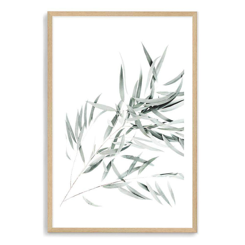 Eucalyptus Gum Leaves-The Paper Tree-australia,australian,australian native,australiana,botanical,eucalyptus,eucalyptus leaves,green,gum,gum leaf,gum leaves,hamptons,leaf,leaves,muted tone,portrait,premium art print,wall art,Wall_Art,Wall_Art_Prints