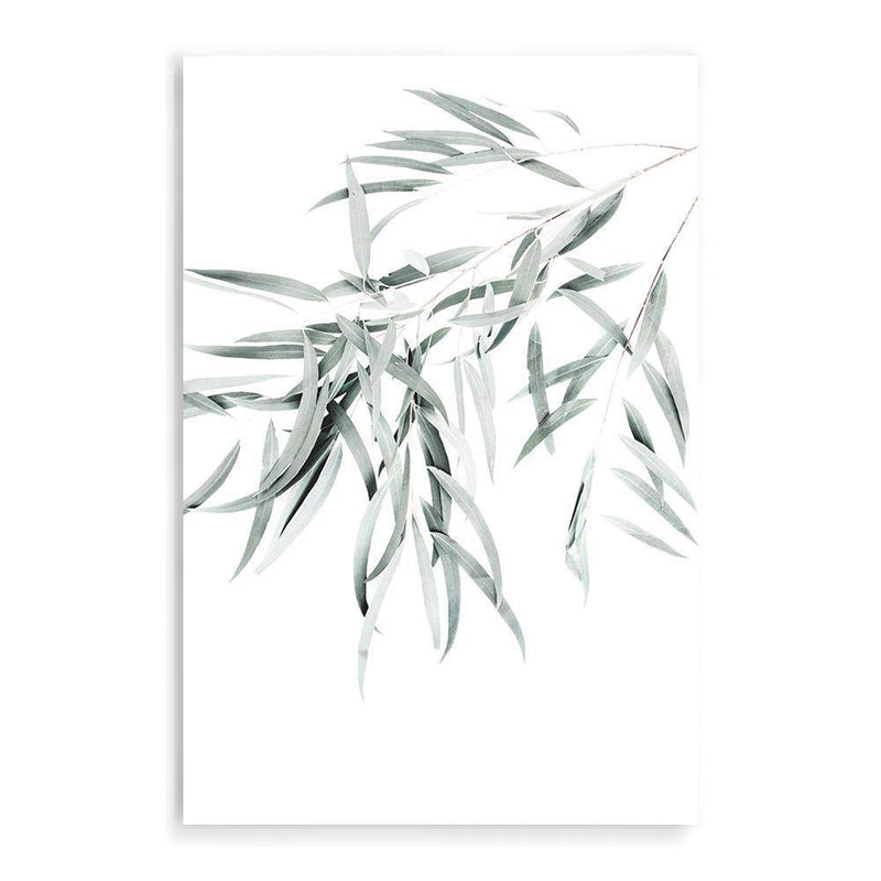 Eucalyptus Gum Leaves II-The Paper Tree-australia,australian,australian native,australiana,botanical,eucalyptus,eucalyptus leaves,green,gum,gum leaf,gum leaves,hamptons,leaf,leaves,muted tone,portrait,premium art print,wall art,Wall_Art,Wall_Art_Prints