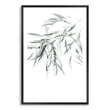 Eucalyptus Gum Leaves II-The Paper Tree-australia,australian,australian native,australiana,botanical,eucalyptus,eucalyptus leaves,green,gum,gum leaf,gum leaves,hamptons,leaf,leaves,muted tone,portrait,premium art print,wall art,Wall_Art,Wall_Art_Prints