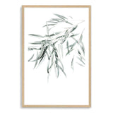 Eucalyptus Gum Leaves II-The Paper Tree-australia,australian,australian native,australiana,botanical,eucalyptus,eucalyptus leaves,green,gum,gum leaf,gum leaves,hamptons,leaf,leaves,muted tone,portrait,premium art print,wall art,Wall_Art,Wall_Art_Prints