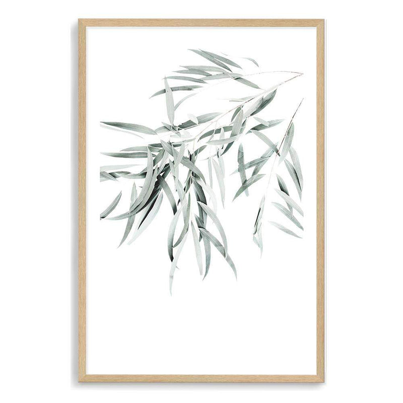 Eucalyptus Gum Leaves II-The Paper Tree-australia,australian,australian native,australiana,botanical,eucalyptus,eucalyptus leaves,green,gum,gum leaf,gum leaves,hamptons,leaf,leaves,muted tone,portrait,premium art print,wall art,Wall_Art,Wall_Art_Prints