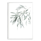 Eucalyptus Gum Leaves II-The Paper Tree-australia,australian,australian native,australiana,botanical,eucalyptus,eucalyptus leaves,green,gum,gum leaf,gum leaves,hamptons,leaf,leaves,muted tone,portrait,premium art print,wall art,Wall_Art,Wall_Art_Prints