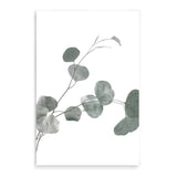 Australian Native Eucalyptus Leaves II-The Paper Tree-australia,australian,australian native,australiana,botanical,eucalyptus,eucalyptus leaves,green,gum,gum leaf,hamptons,leaf,leaves,Muted Eucalyptus Art Print,muted tone,native,portrait,premium art print,wall art,Wall_Art,Wall_Art_Prints