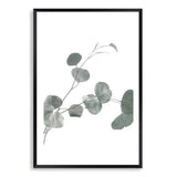 Australian Native Eucalyptus Leaves II-The Paper Tree-australia,australian,australian native,australiana,botanical,eucalyptus,eucalyptus leaves,green,gum,gum leaf,hamptons,leaf,leaves,Muted Eucalyptus Art Print,muted tone,native,portrait,premium art print,wall art,Wall_Art,Wall_Art_Prints