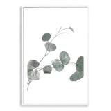 Australian Native Eucalyptus Leaves II-The Paper Tree-australia,australian,australian native,australiana,botanical,eucalyptus,eucalyptus leaves,green,gum,gum leaf,hamptons,leaf,leaves,Muted Eucalyptus Art Print,muted tone,native,portrait,premium art print,wall art,Wall_Art,Wall_Art_Prints