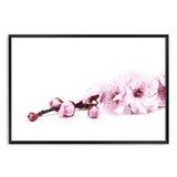 Cherry Blossom II-The Paper Tree-bloom,blossom,botanical,cherry blossom,eucalyptus leaves,floral,flower,landscape,pink,premium art print,wall art,Wall_Art,Wall_Art_Prints