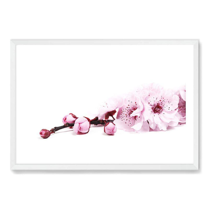 Cherry Blossom II-The Paper Tree-bloom,blossom,botanical,cherry blossom,eucalyptus leaves,floral,flower,landscape,pink,premium art print,wall art,Wall_Art,Wall_Art_Prints