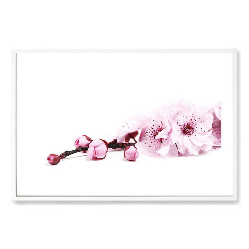 Cherry Blossom II-The Paper Tree-bloom,blossom,botanical,cherry blossom,eucalyptus leaves,floral,flower,landscape,pink,premium art print,wall art,Wall_Art,Wall_Art_Prints