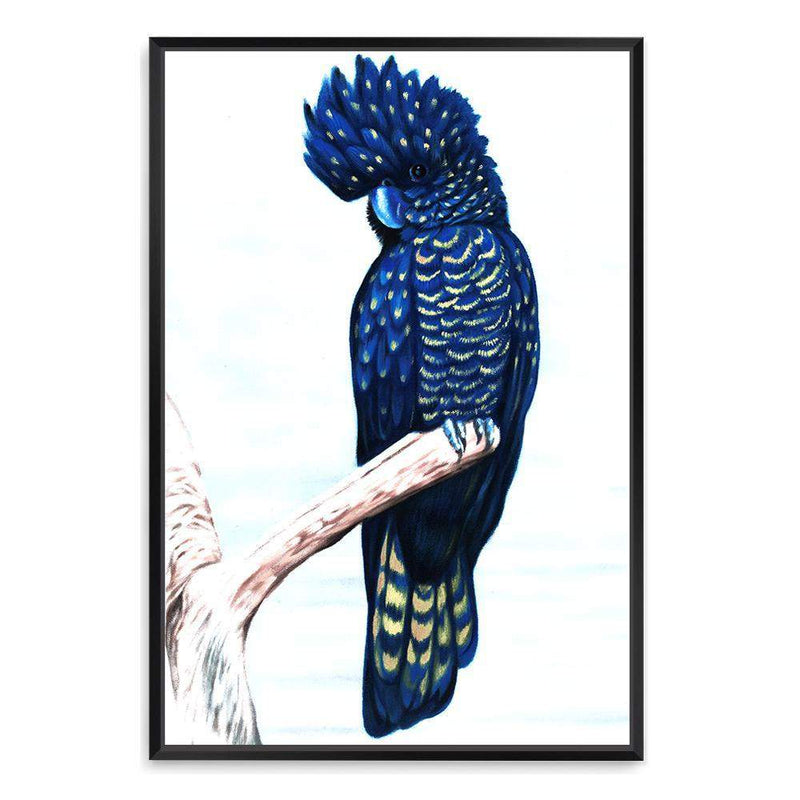 Black Cockatoo-The Paper Tree-animal,australian,australian native,bird,black,black cockatoo,blue,blue cockatoo,cockatoo,hamptons,painted,painted print,perch,portrait,premium art print,wall art,Wall_Art,Wall_Art_Prints