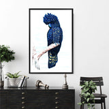 Black Cockatoo-The Paper Tree-animal,australian,australian native,bird,black,black cockatoo,blue,blue cockatoo,cockatoo,hamptons,painted,painted print,perch,portrait,premium art print,wall art,Wall_Art,Wall_Art_Prints