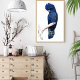 Black Cockatoo-The Paper Tree-animal,australian,australian native,bird,black,black cockatoo,blue,blue cockatoo,cockatoo,hamptons,painted,painted print,perch,portrait,premium art print,wall art,Wall_Art,Wall_Art_Prints