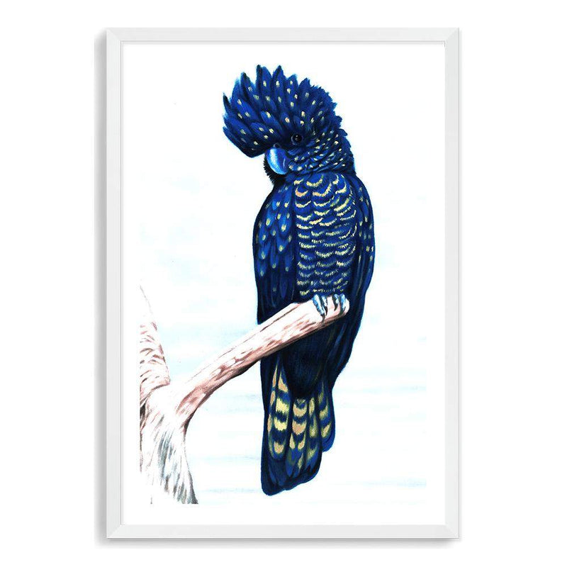 Black Cockatoo-The Paper Tree-animal,australian,australian native,bird,black,black cockatoo,blue,blue cockatoo,cockatoo,hamptons,painted,painted print,perch,portrait,premium art print,wall art,Wall_Art,Wall_Art_Prints