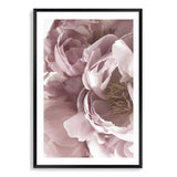 Dusty Pink Peonies Floral II-The Paper Tree-dusty pink,feminine,floral,flower,french,muted tone,pastel,pastel pink,peonies,peony,petal,pink,portrait,premium art print,wall art,Wall_Art,Wall_Art_Prints