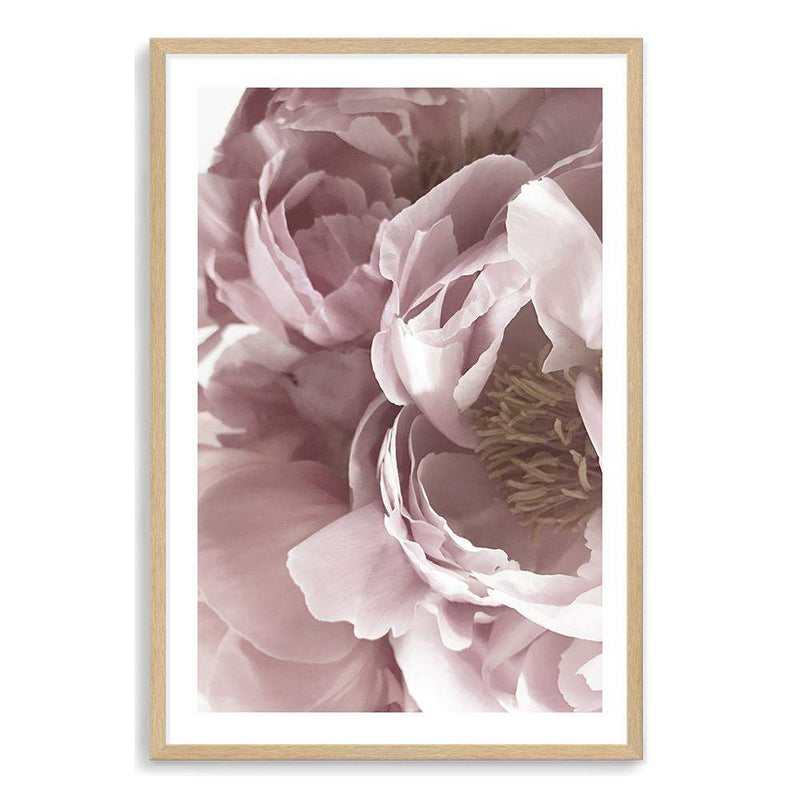 Dusty Pink Peonies Floral II-The Paper Tree-dusty pink,feminine,floral,flower,french,muted tone,pastel,pastel pink,peonies,peony,petal,pink,portrait,premium art print,wall art,Wall_Art,Wall_Art_Prints