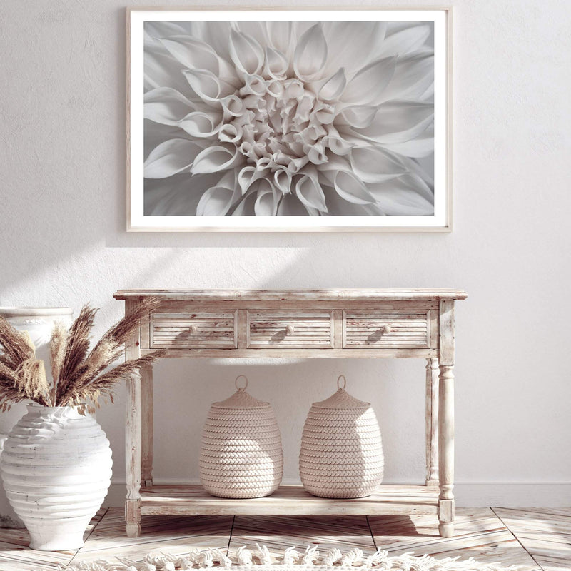 White Dahlia II-The Paper Tree-boho,DAHLIA,dahlia flower,feminine,Floral,flower,flowers,hamptons,neutral,portrait,premium art print,wall art,Wall_Art,Wall_Art_Prints,white