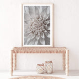 White Dahlia II-The Paper Tree-boho,DAHLIA,dahlia flower,feminine,Floral,flower,flowers,hamptons,neutral,portrait,premium art print,wall art,Wall_Art,Wall_Art_Prints,white