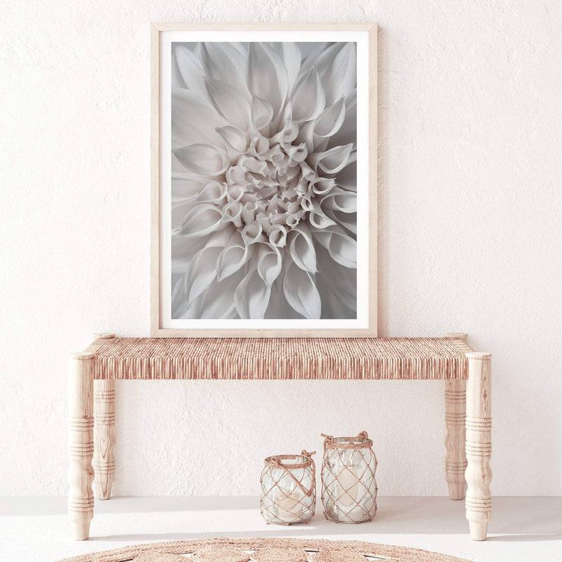 White Dahlia II-The Paper Tree-boho,DAHLIA,dahlia flower,feminine,Floral,flower,flowers,hamptons,neutral,portrait,premium art print,wall art,Wall_Art,Wall_Art_Prints,white