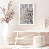 White Dahlia II-The Paper Tree-boho,DAHLIA,dahlia flower,feminine,Floral,flower,flowers,hamptons,neutral,portrait,premium art print,wall art,Wall_Art,Wall_Art_Prints,white