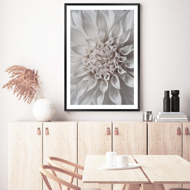 White Dahlia II-The Paper Tree-boho,DAHLIA,dahlia flower,feminine,Floral,flower,flowers,hamptons,neutral,portrait,premium art print,wall art,Wall_Art,Wall_Art_Prints,white