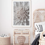 White Dahlia II-The Paper Tree-boho,DAHLIA,dahlia flower,feminine,Floral,flower,flowers,hamptons,neutral,portrait,premium art print,wall art,Wall_Art,Wall_Art_Prints,white