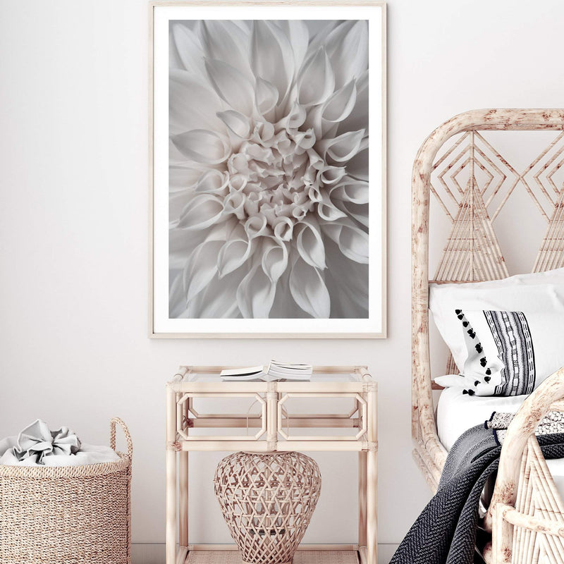 White Dahlia II-The Paper Tree-boho,DAHLIA,dahlia flower,feminine,Floral,flower,flowers,hamptons,neutral,portrait,premium art print,wall art,Wall_Art,Wall_Art_Prints,white