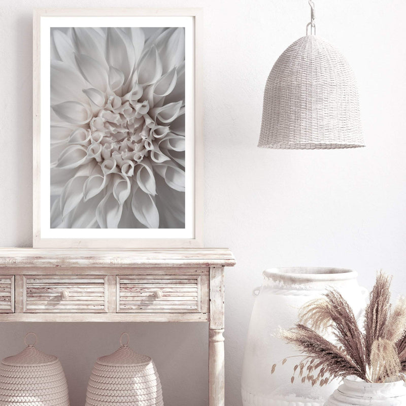 White Dahlia II-The Paper Tree-boho,DAHLIA,dahlia flower,feminine,Floral,flower,flowers,hamptons,neutral,portrait,premium art print,wall art,Wall_Art,Wall_Art_Prints,white