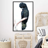 Black Cockatoo III-The Paper Tree-animal,australian,australian native,bird,black,black cockatoo,blue,blue cockatoo,cockatoo,hamptons,painted,painted print,perch,portait,premium art print,wall art,Wall_Art,Wall_Art_Prints