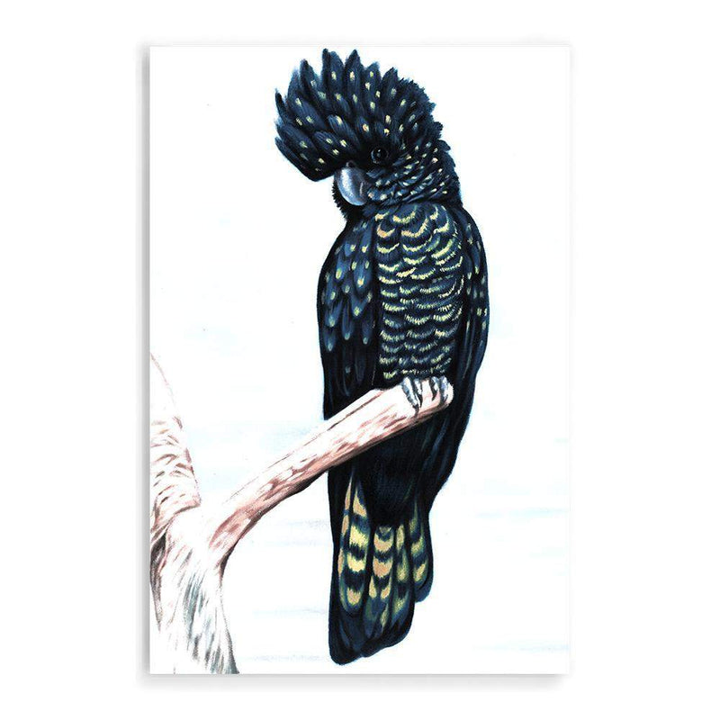 Black Cockatoo III-The Paper Tree-animal,australian,australian native,bird,black,black cockatoo,blue,blue cockatoo,cockatoo,hamptons,painted,painted print,perch,portait,premium art print,wall art,Wall_Art,Wall_Art_Prints