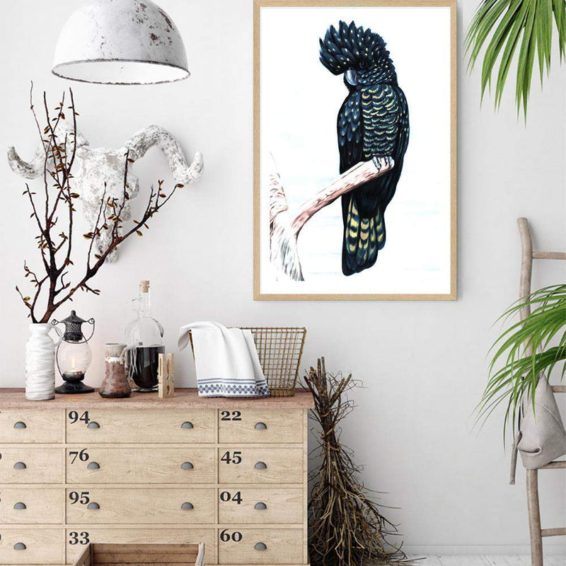 Black Cockatoo III-The Paper Tree-animal,australian,australian native,bird,black,black cockatoo,blue,blue cockatoo,cockatoo,hamptons,painted,painted print,perch,portait,premium art print,wall art,Wall_Art,Wall_Art_Prints