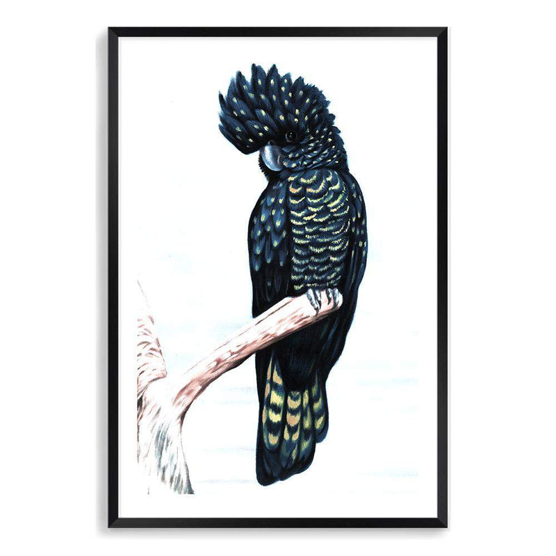 Black Cockatoo III-The Paper Tree-animal,australian,australian native,bird,black,black cockatoo,blue,blue cockatoo,cockatoo,hamptons,painted,painted print,perch,portait,premium art print,wall art,Wall_Art,Wall_Art_Prints