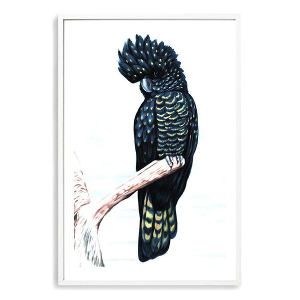 Black Cockatoo III-The Paper Tree-animal,australian,australian native,bird,black,black cockatoo,blue,blue cockatoo,cockatoo,hamptons,painted,painted print,perch,portait,premium art print,wall art,Wall_Art,Wall_Art_Prints