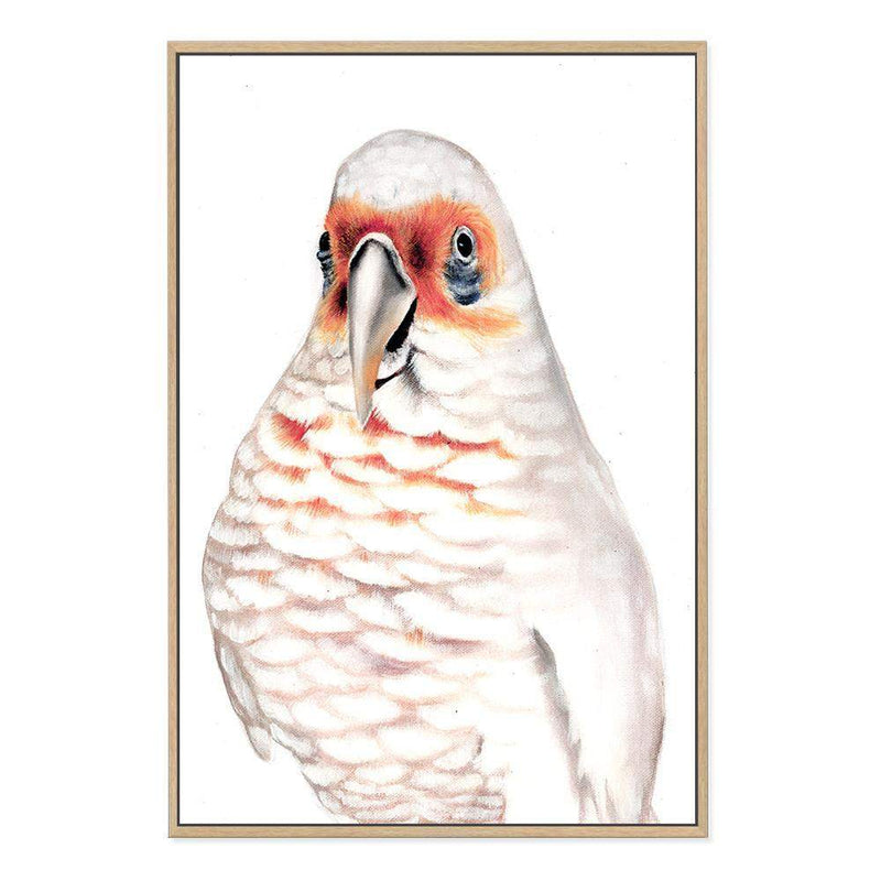 Connie The Corella-The Paper Tree-animal,australian,australian native,bird,boho,cockatoo,corella,feathers,galah,neutral,orange,painted,painted print,parrot,portrait,premium art print,wall art,Wall_Art,Wall_Art_Prints,white