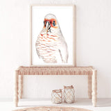 Connie The Corella-The Paper Tree-animal,australian,australian native,bird,boho,cockatoo,corella,feathers,galah,neutral,orange,painted,painted print,parrot,portrait,premium art print,wall art,Wall_Art,Wall_Art_Prints,white